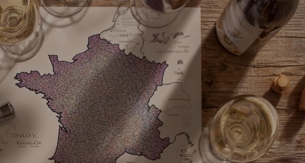 Stage d’oenologie : Cépages et terroirs de France