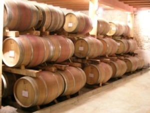 photo de chai à barriques illustrant présentation de l'école du vin ludivinum